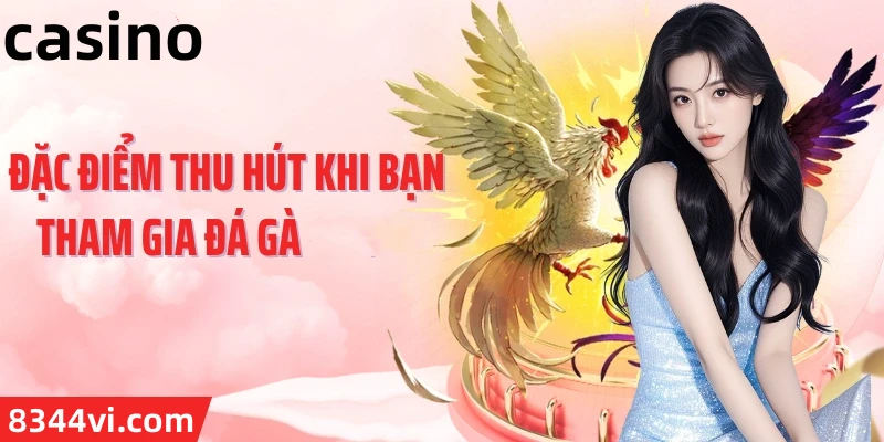 Hình ảnh quảng cáo của km888 hiển thị nền tảng và các lợi ích